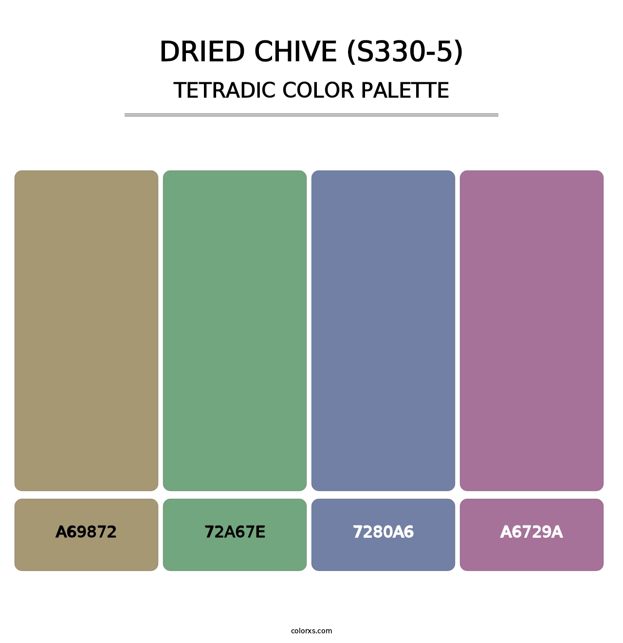 Dried Chive (S330-5) - Tetradic Color Palette