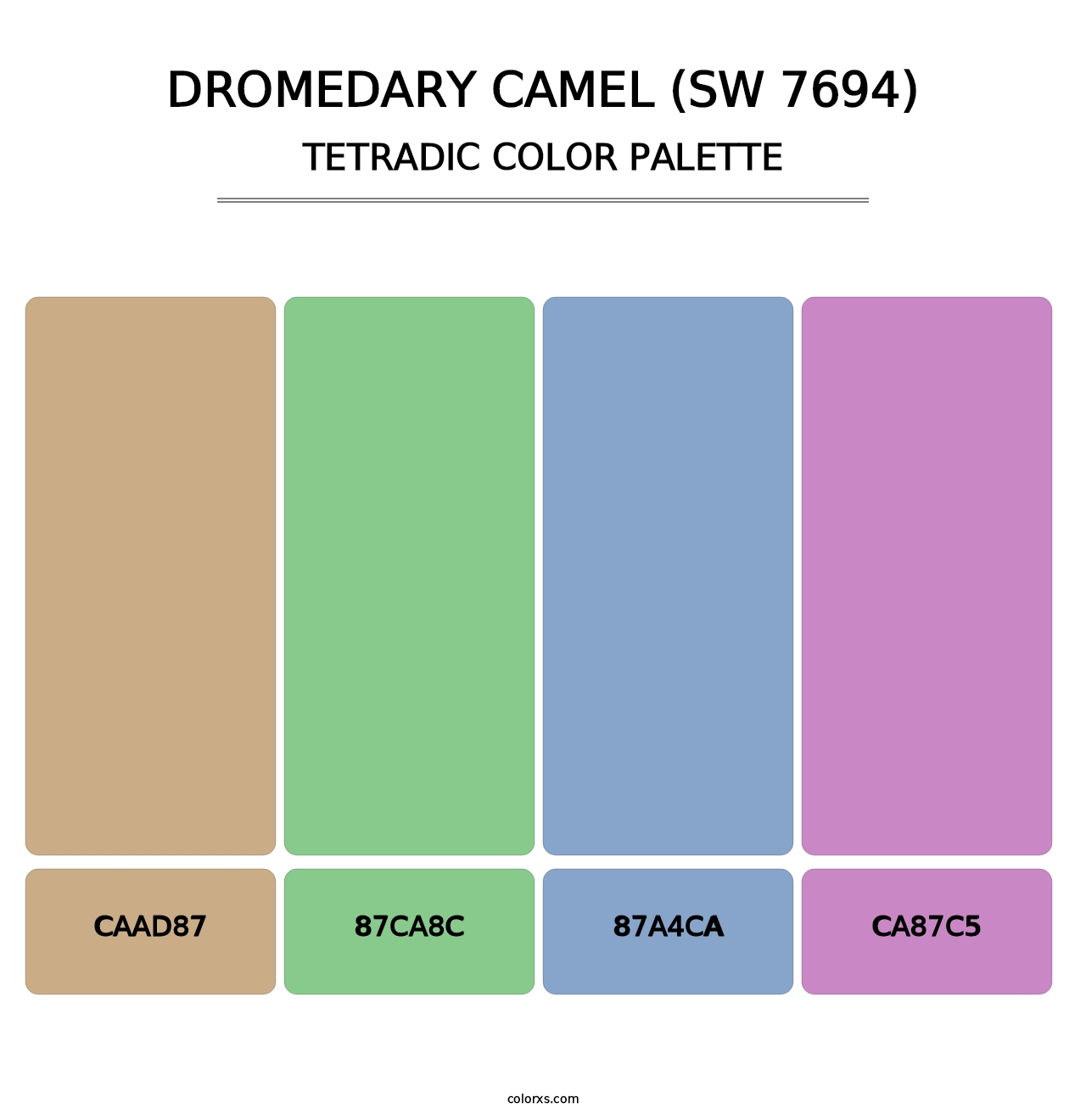 Dromedary Camel (SW 7694) - Tetradic Color Palette