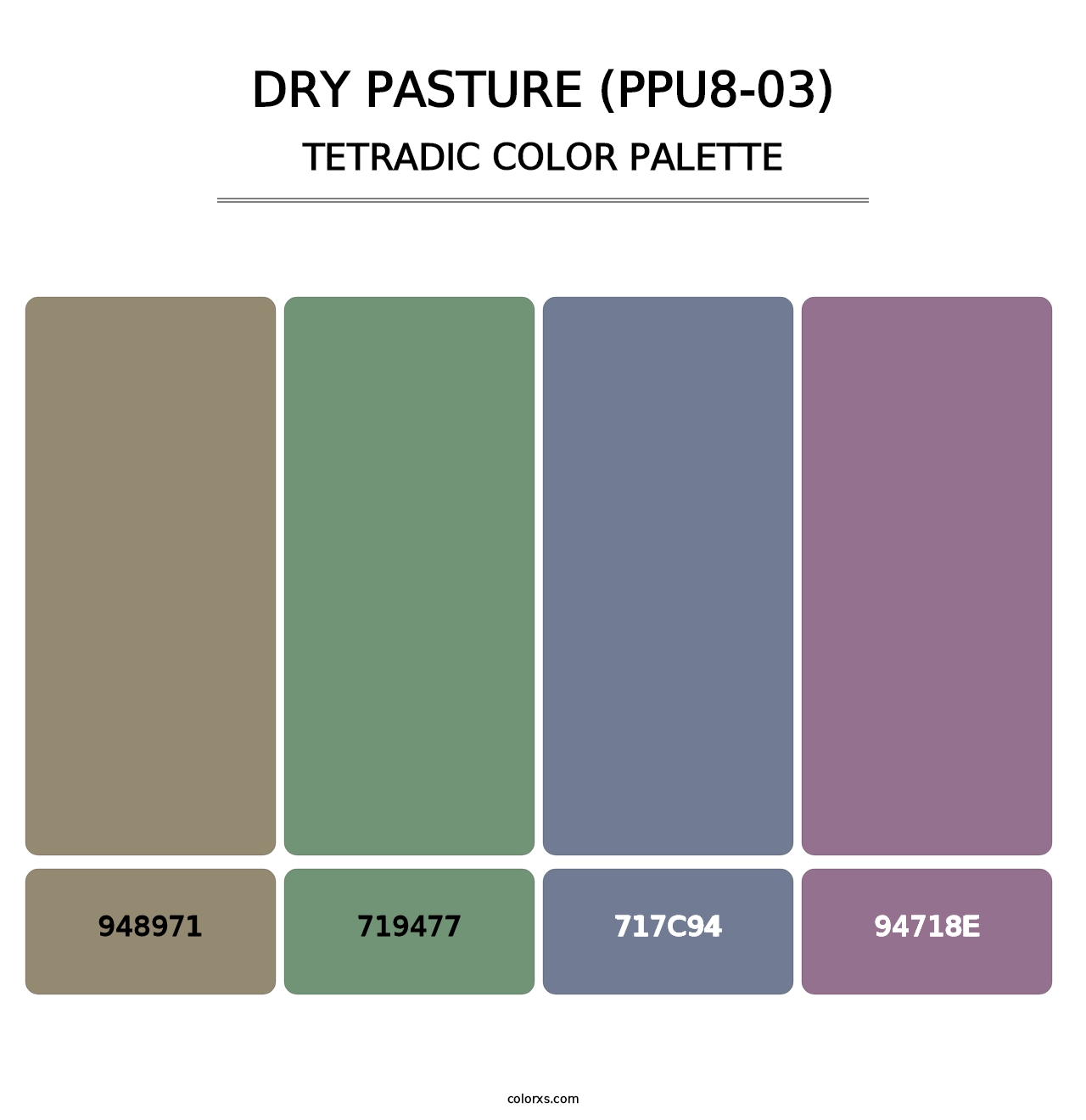 Dry Pasture (PPU8-03) - Tetradic Color Palette