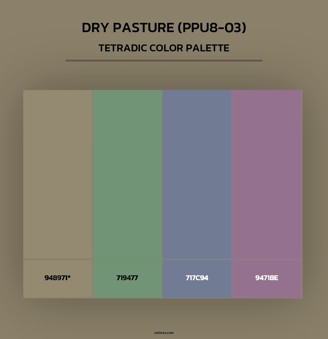 Dry Pasture (PPU8-03) - Tetradic Color Palette
