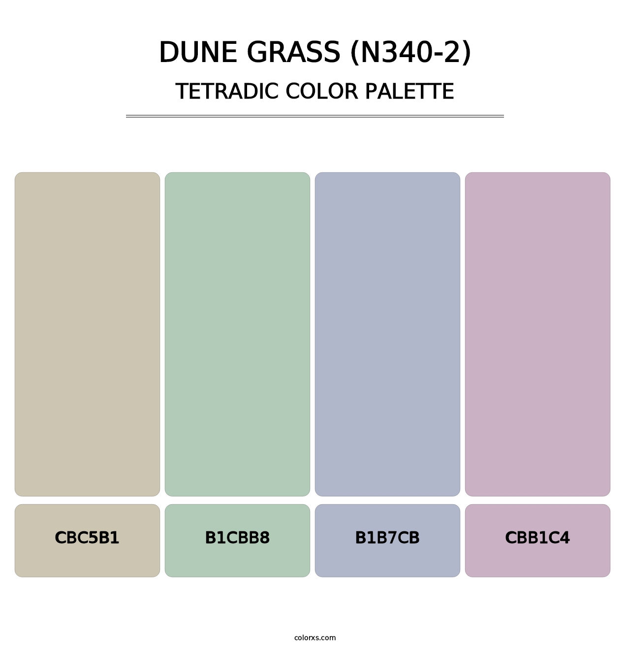 Dune Grass (N340-2) - Tetradic Color Palette