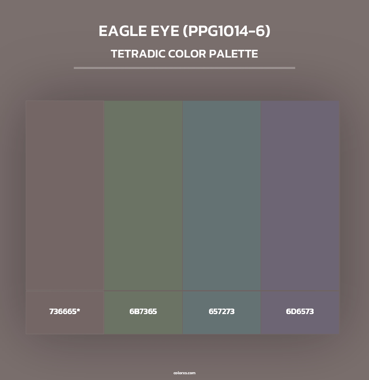 Eagle Eye (PPG1014-6) - Tetradic Color Palette