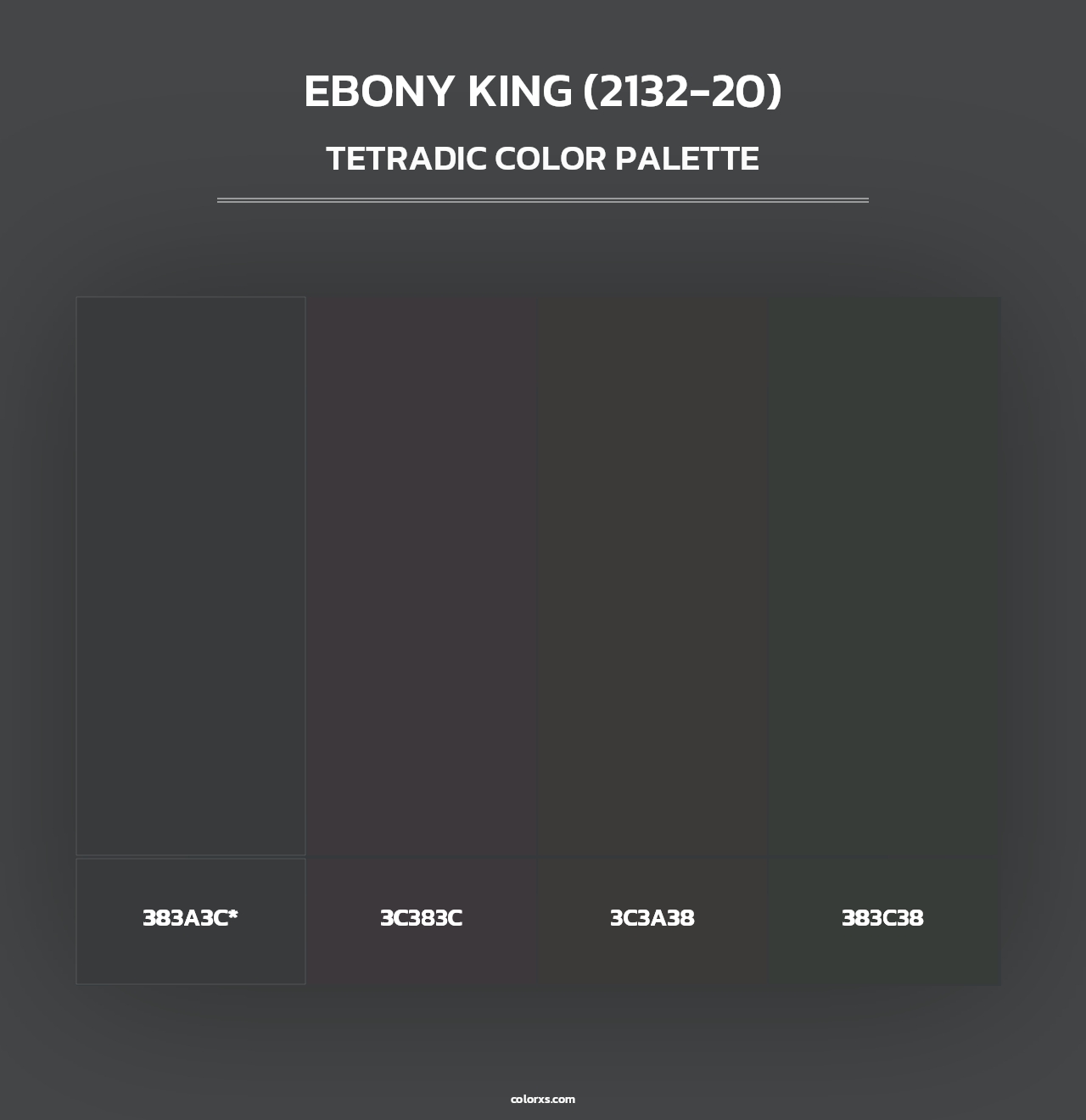 Ebony King (2132-20) - Tetradic Color Palette