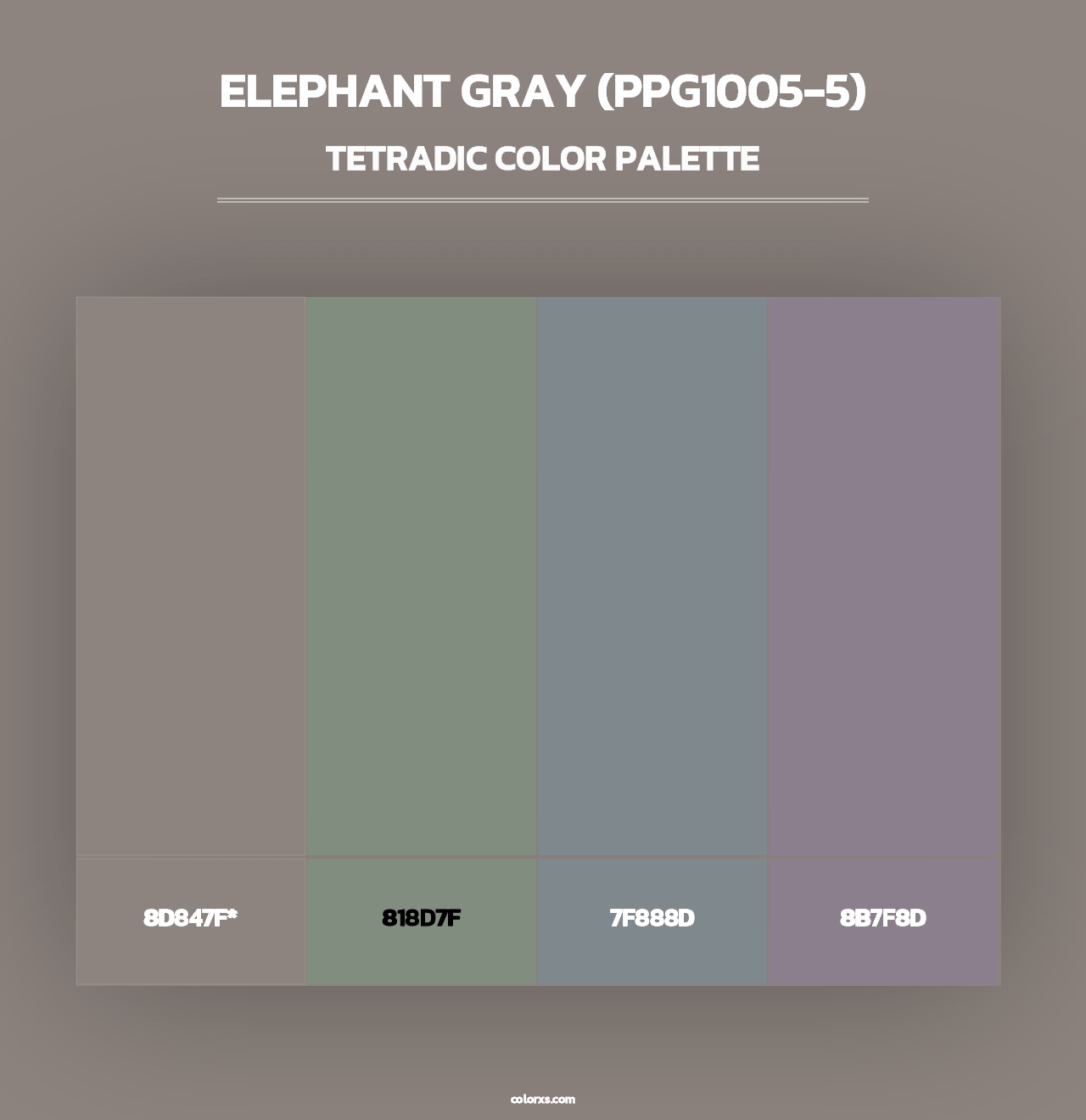 Elephant Gray (PPG1005-5) - Tetradic Color Palette