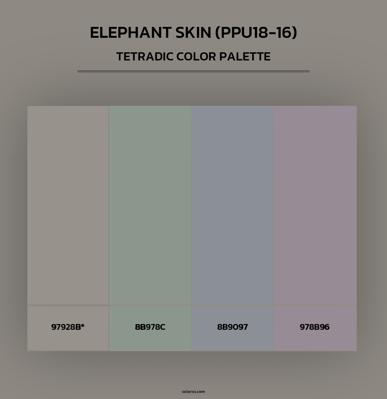 Elephant Skin (PPU18-16) - Tetradic Color Palette