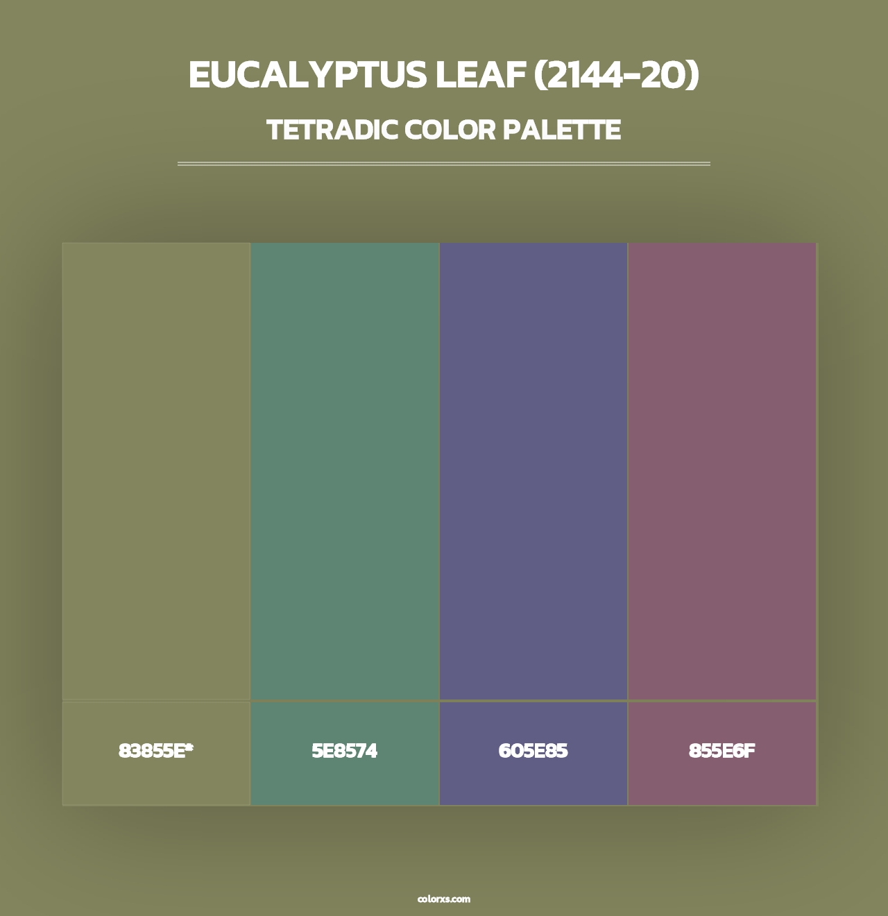 Eucalyptus Leaf (2144-20) - Tetradic Color Palette