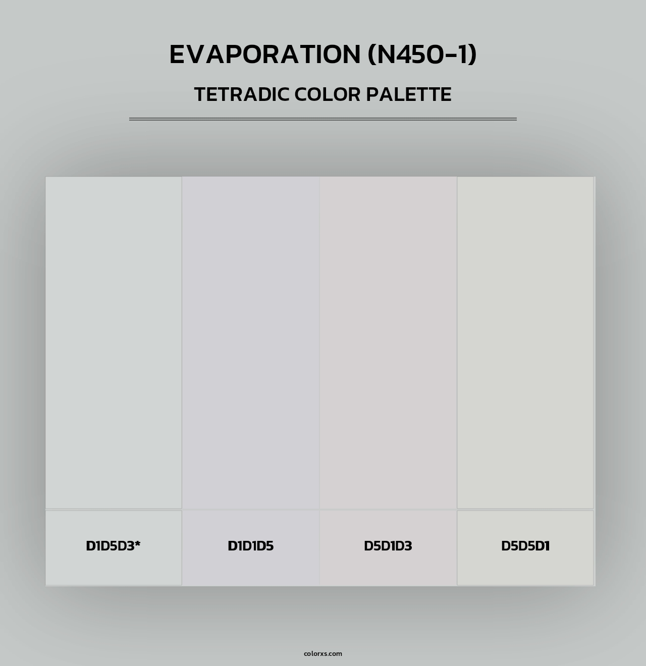Evaporation (N450-1) - Tetradic Color Palette