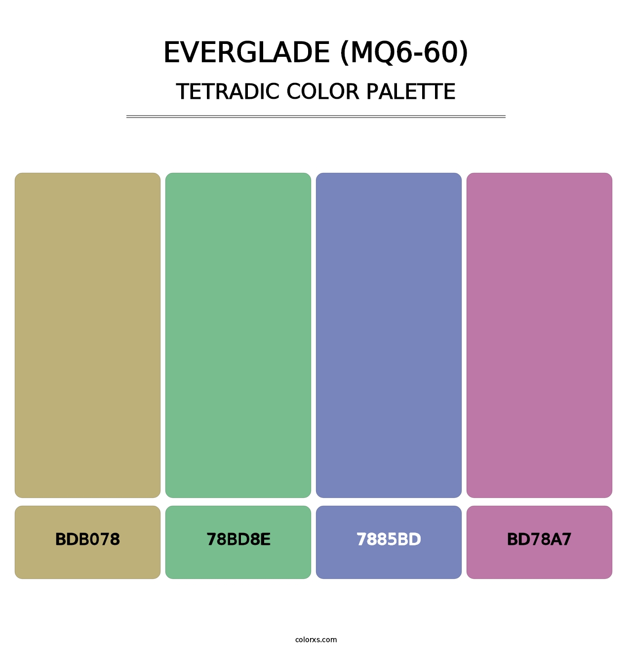 Everglade (MQ6-60) - Tetradic Color Palette
