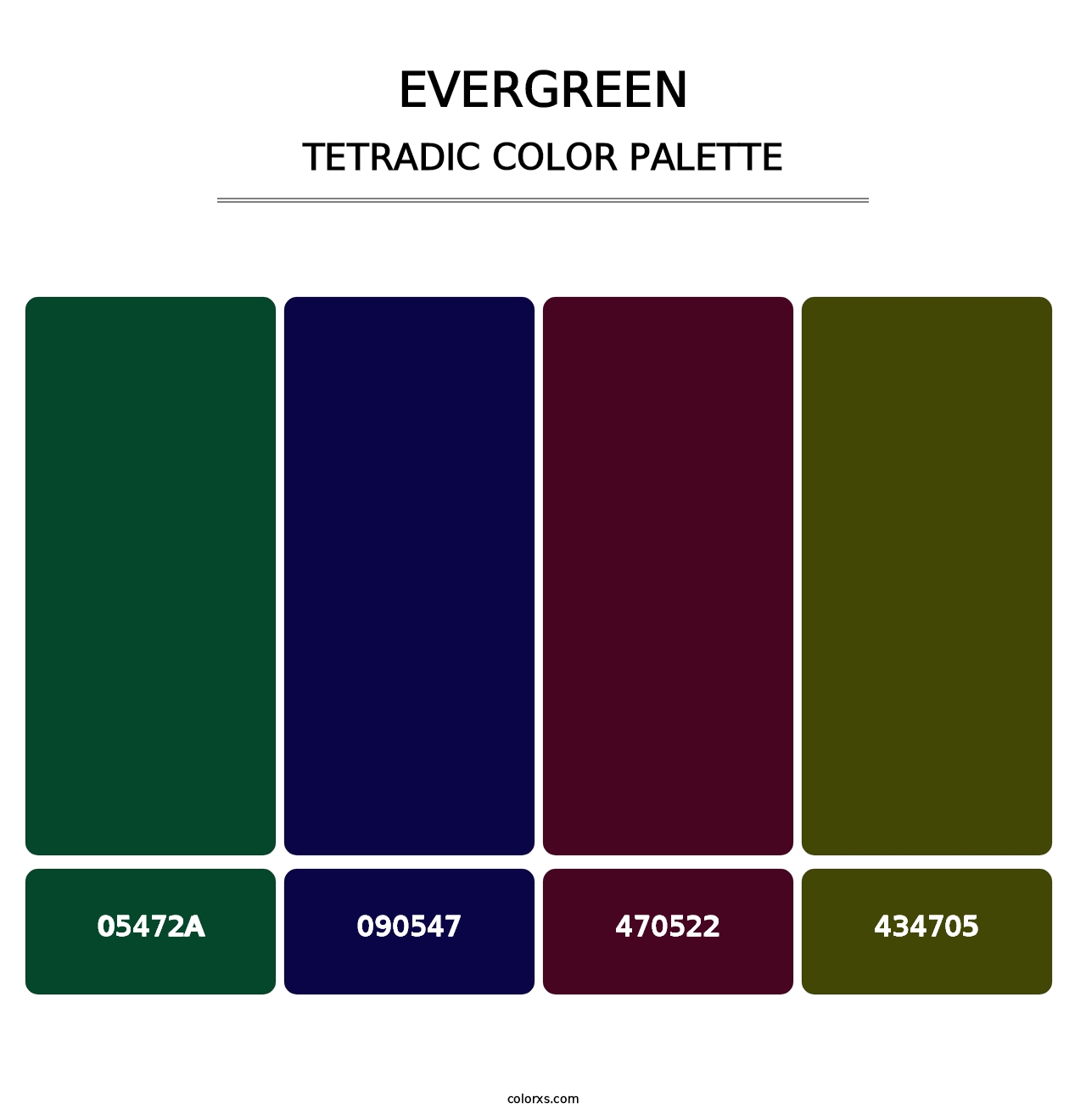 Evergreen - Tetradic Color Palette