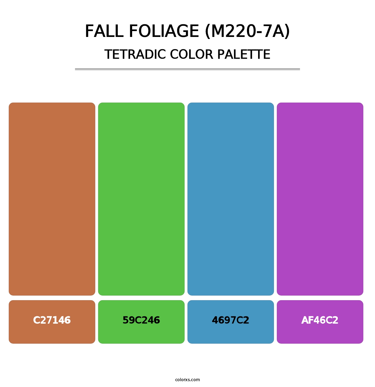 Fall Foliage (M220-7A) - Tetradic Color Palette