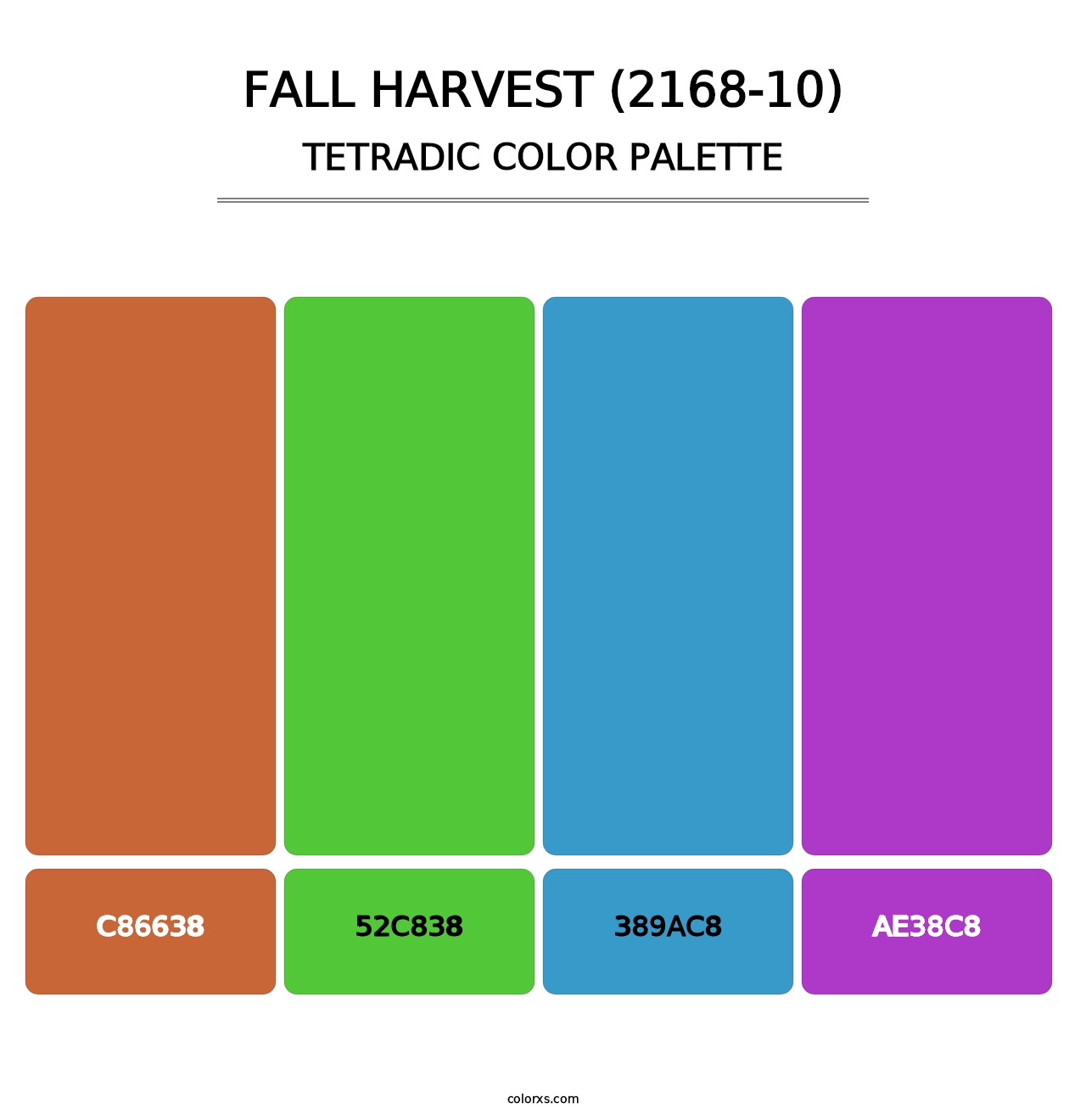 Fall Harvest (2168-10) - Tetradic Color Palette