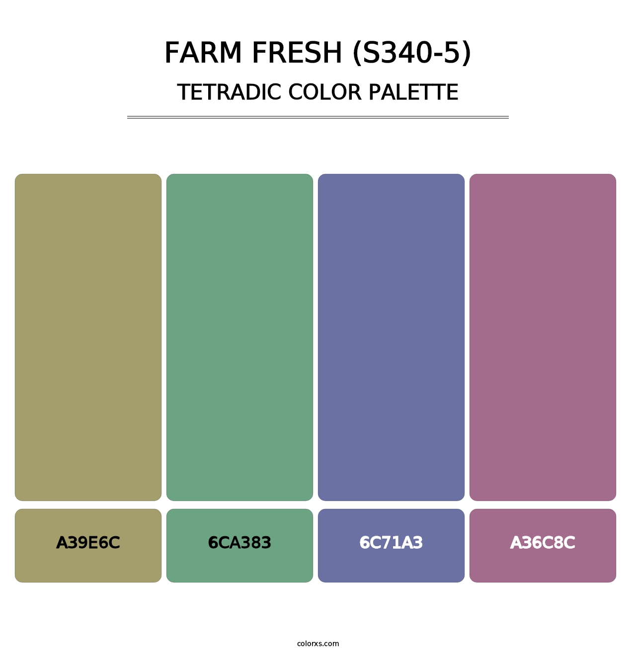 Farm Fresh (S340-5) - Tetradic Color Palette