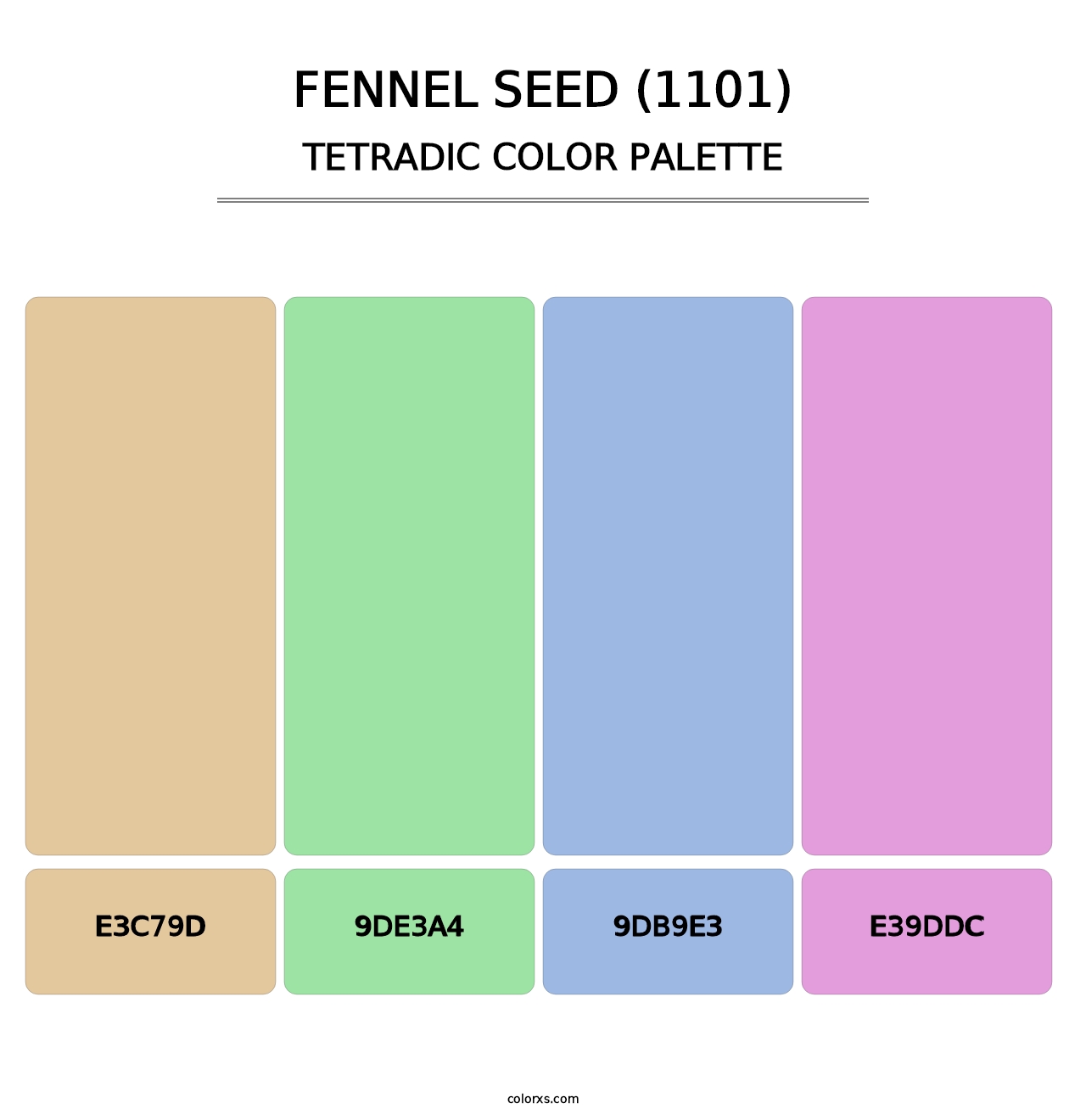 Fennel Seed (1101) - Tetradic Color Palette
