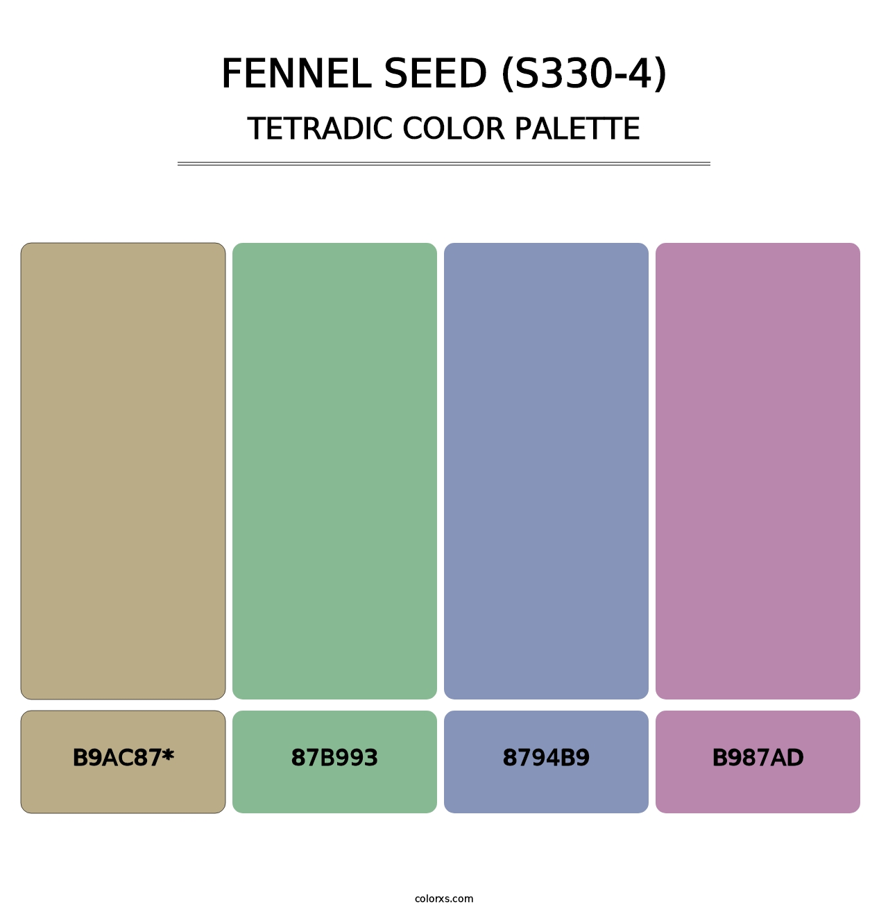 Fennel Seed (S330-4) - Tetradic Color Palette