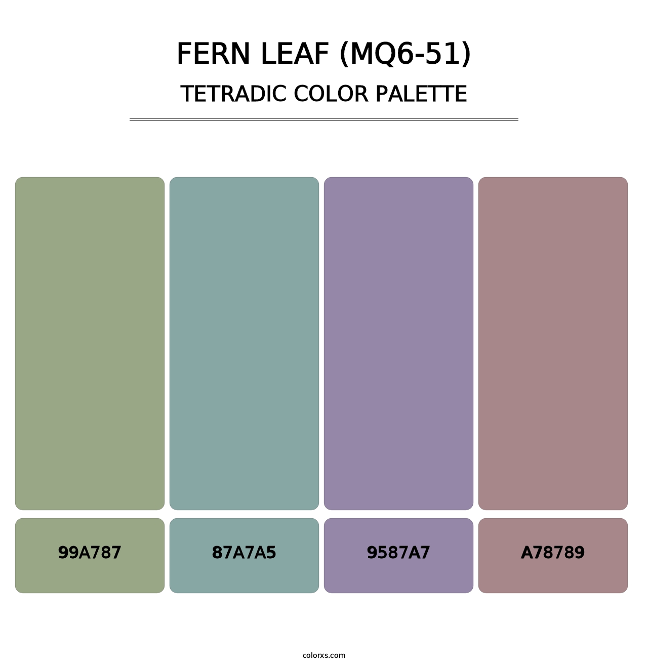 Fern Leaf (MQ6-51) - Tetradic Color Palette