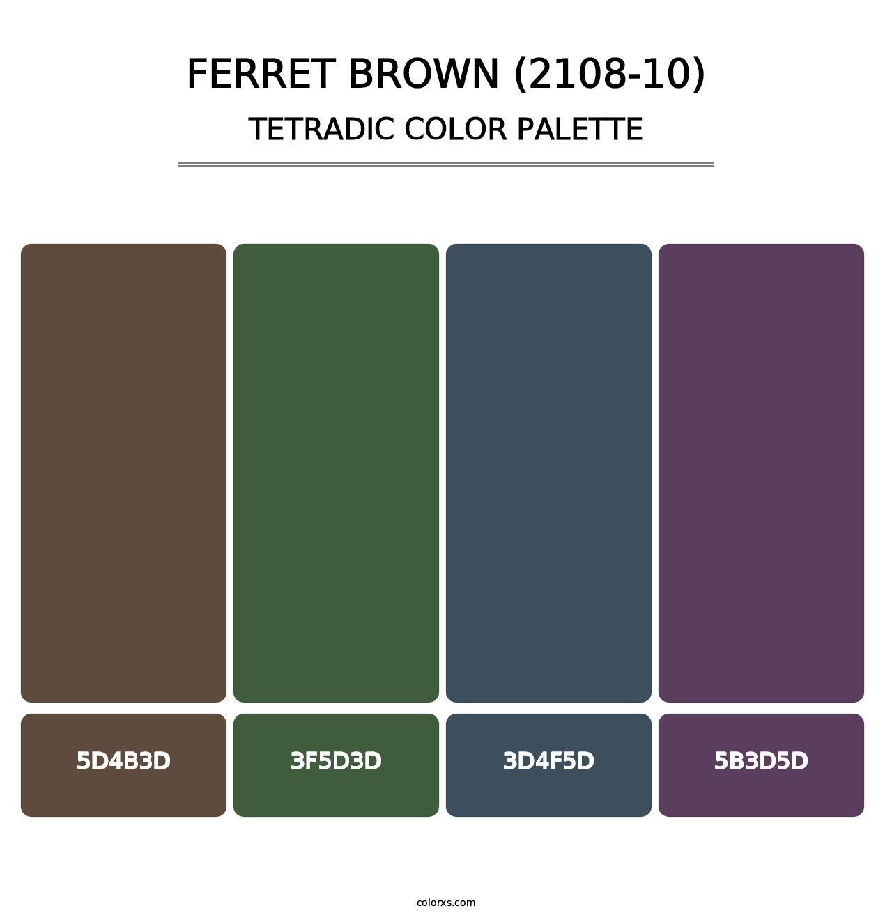 Ferret Brown (2108-10) - Tetradic Color Palette