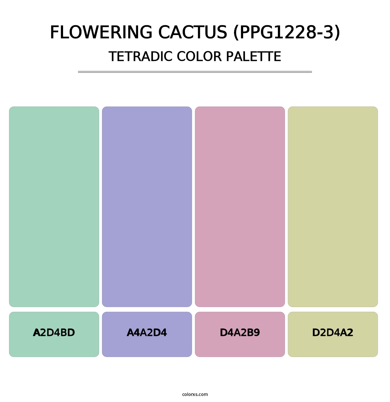 Flowering Cactus (PPG1228-3) - Tetradic Color Palette