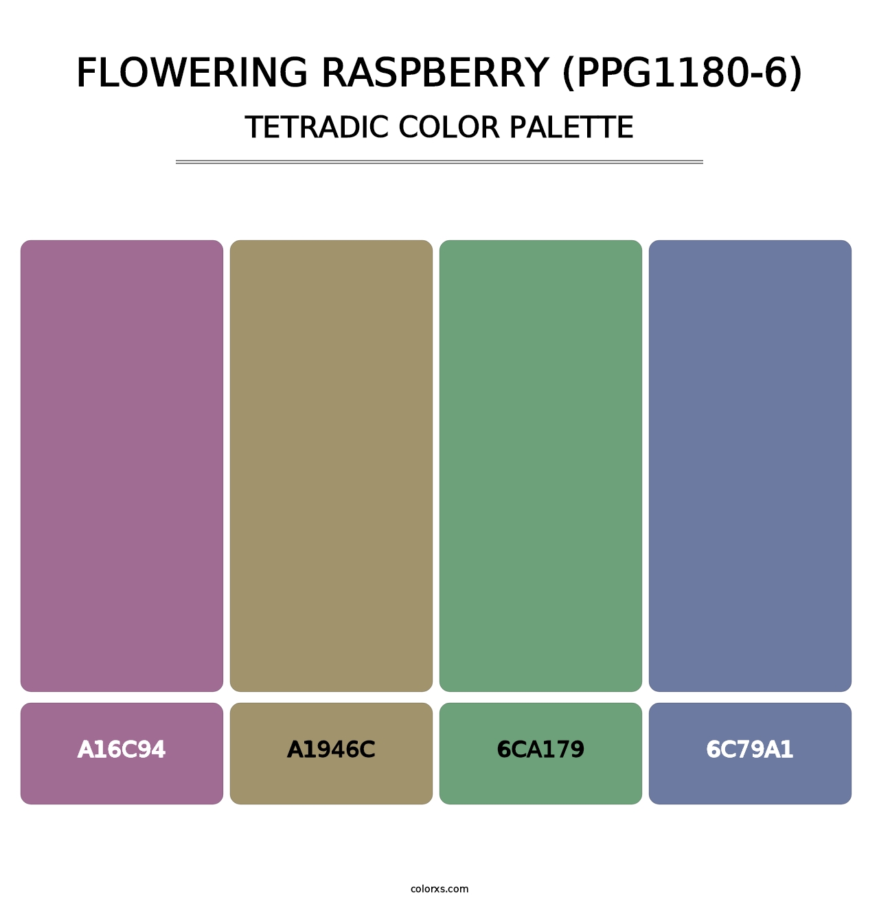 Flowering Raspberry (PPG1180-6) - Tetradic Color Palette