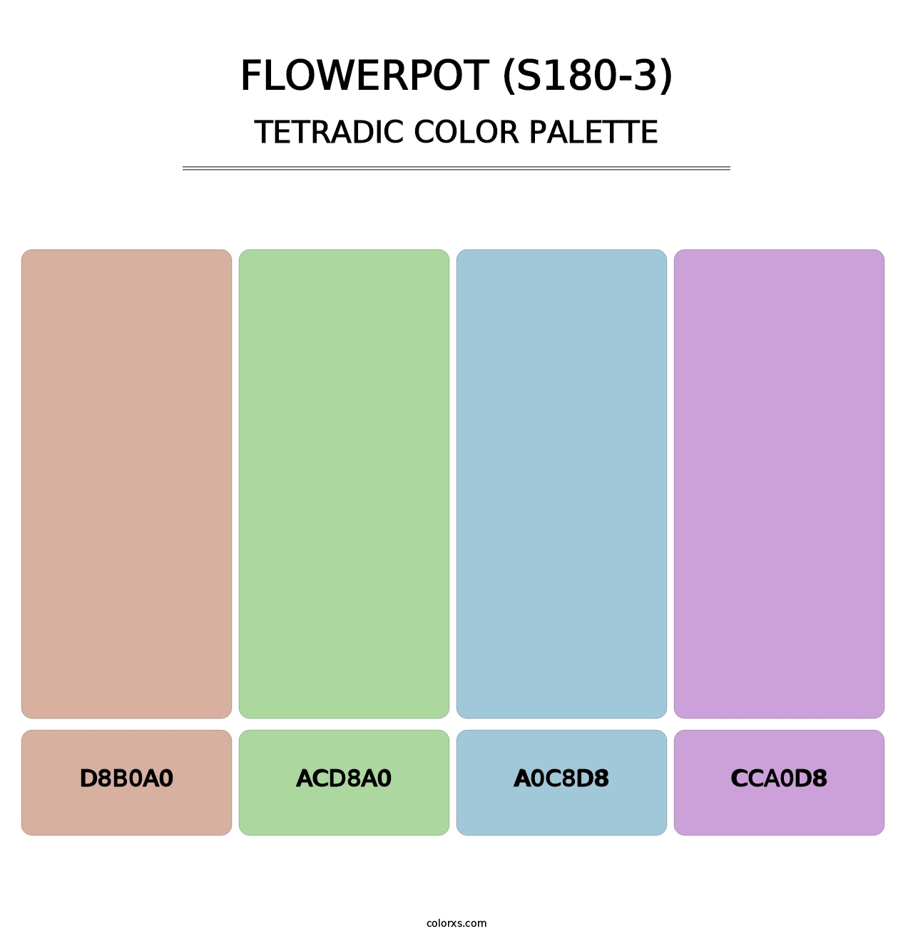 Flowerpot (S180-3) - Tetradic Color Palette