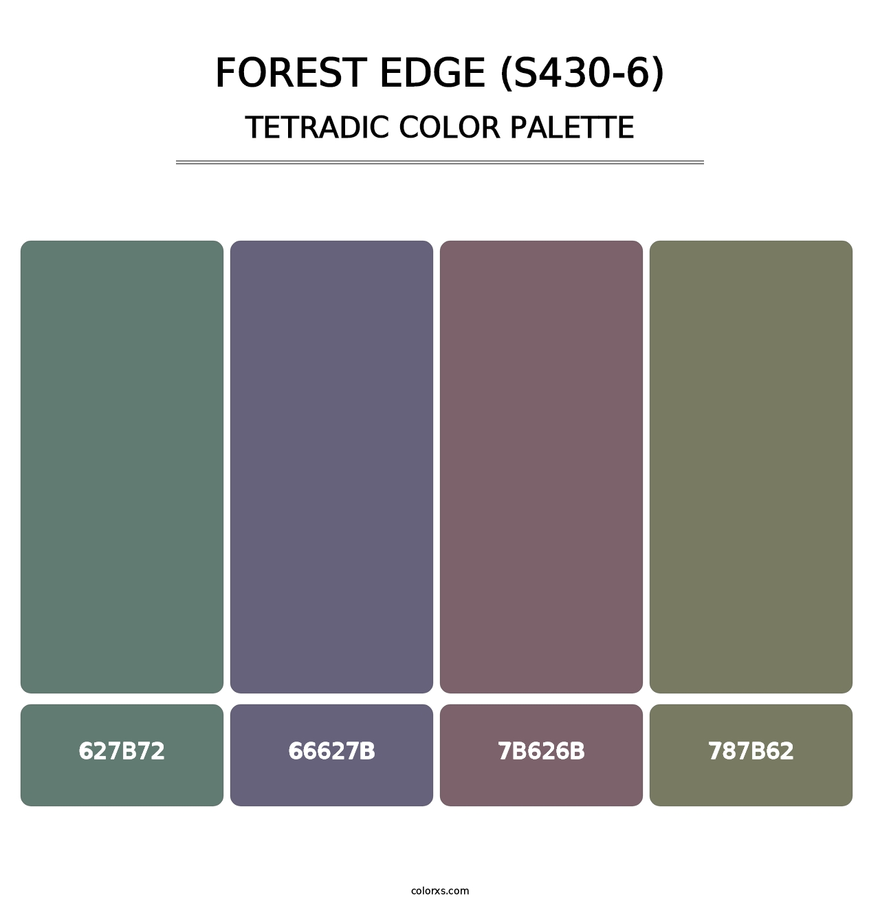 Forest Edge (S430-6) - Tetradic Color Palette