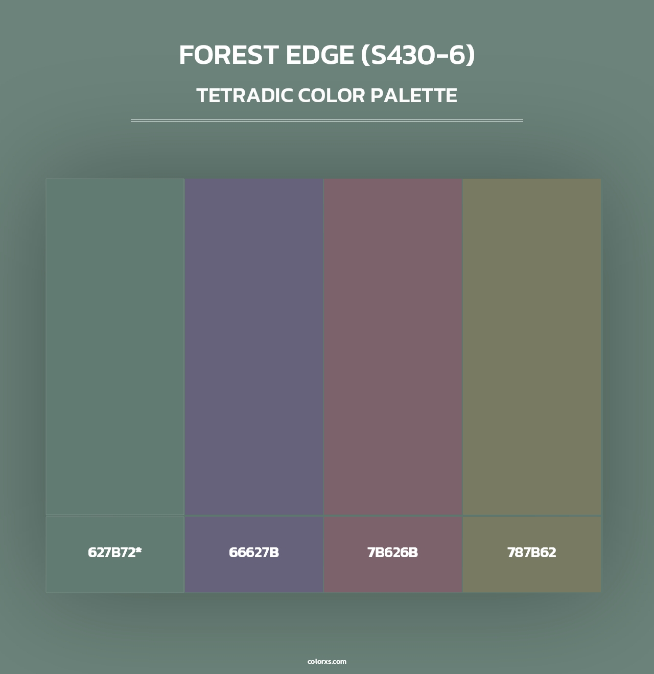 Forest Edge (S430-6) - Tetradic Color Palette