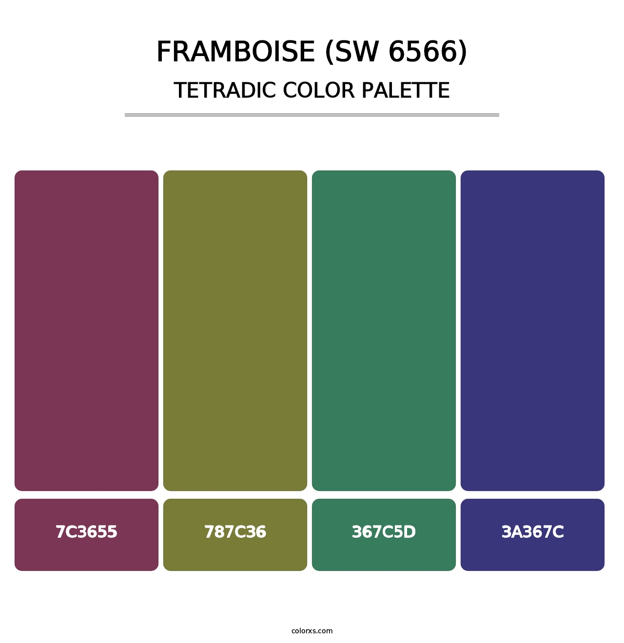 Framboise (SW 6566) - Tetradic Color Palette