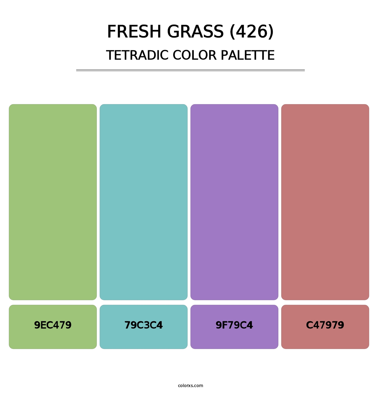 Fresh Grass (426) - Tetradic Color Palette