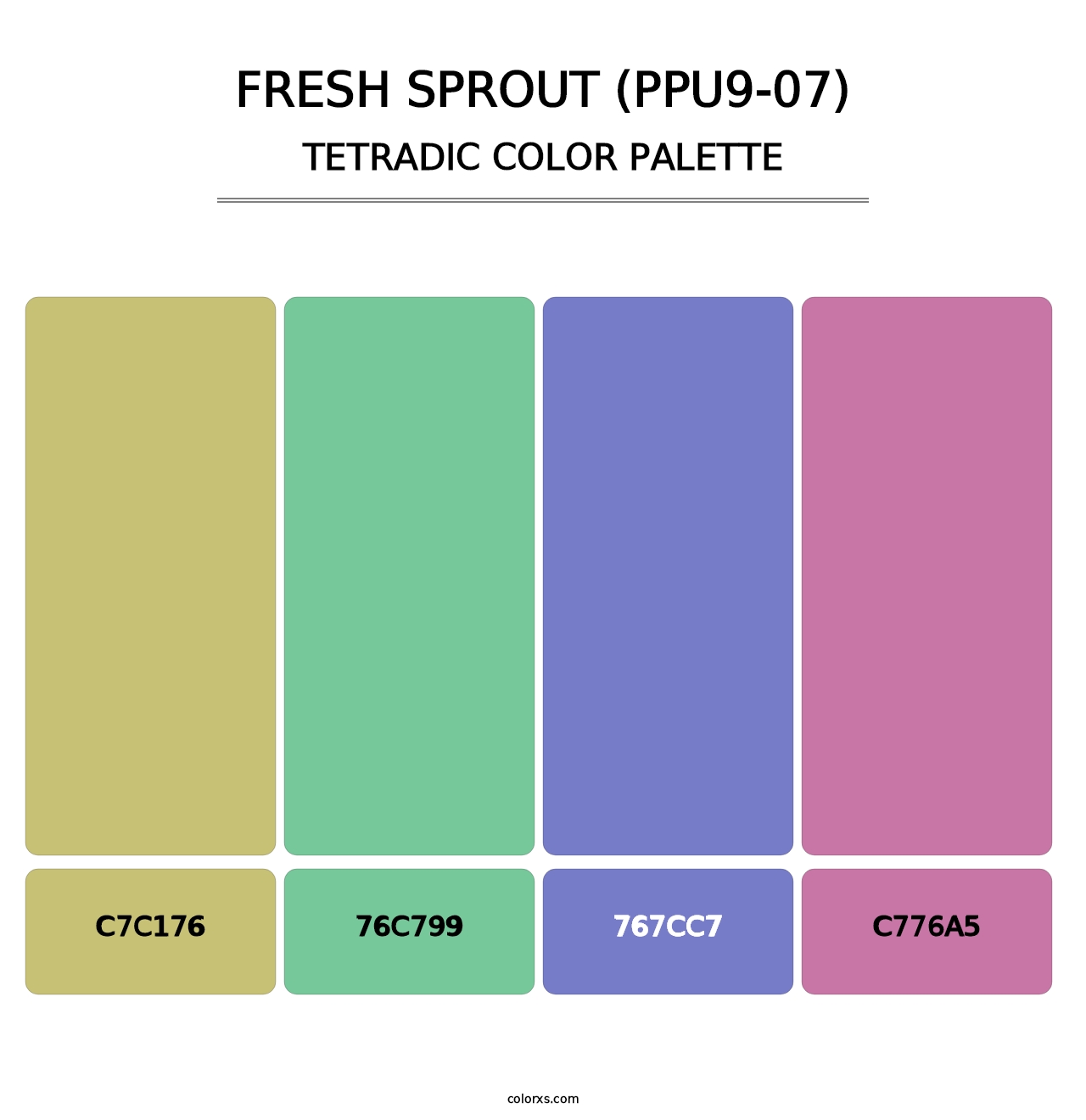 Fresh Sprout (PPU9-07) - Tetradic Color Palette