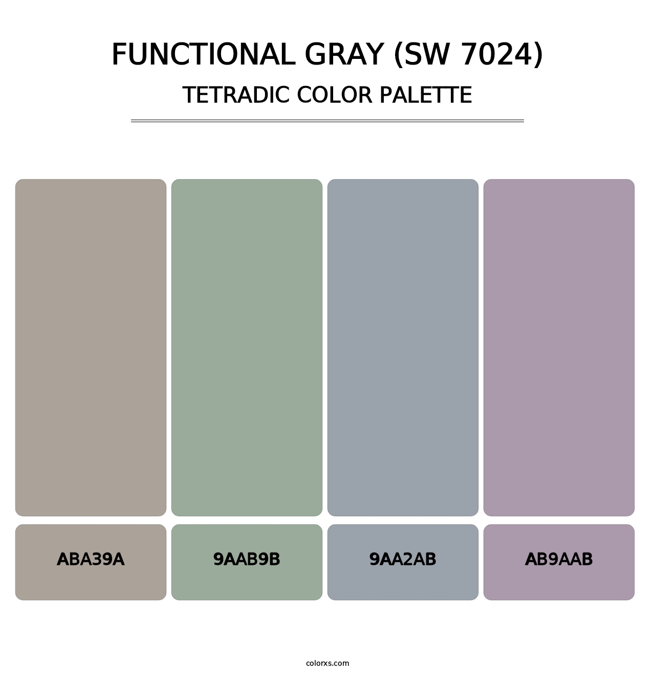 Functional Gray (SW 7024) - Tetradic Color Palette