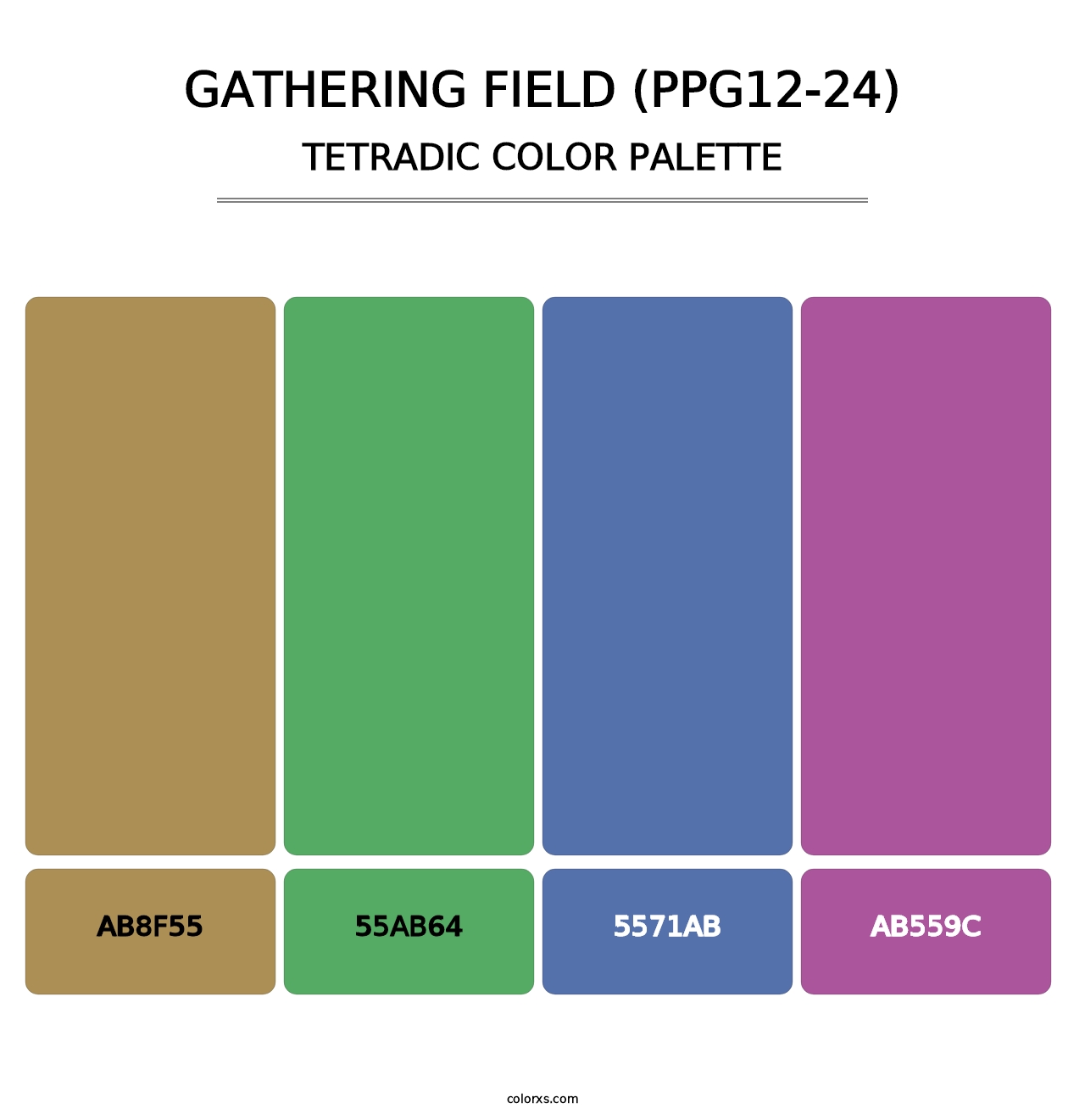 Gathering Field (PPG12-24) - Tetradic Color Palette