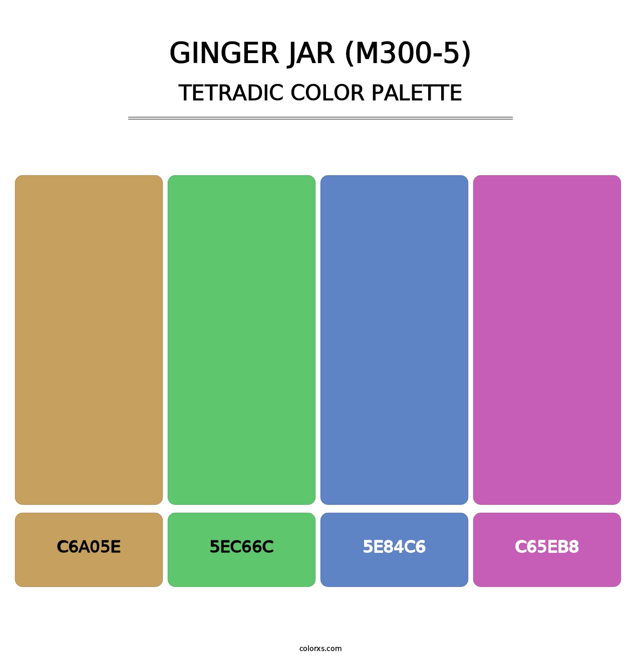 Ginger Jar (M300-5) - Tetradic Color Palette