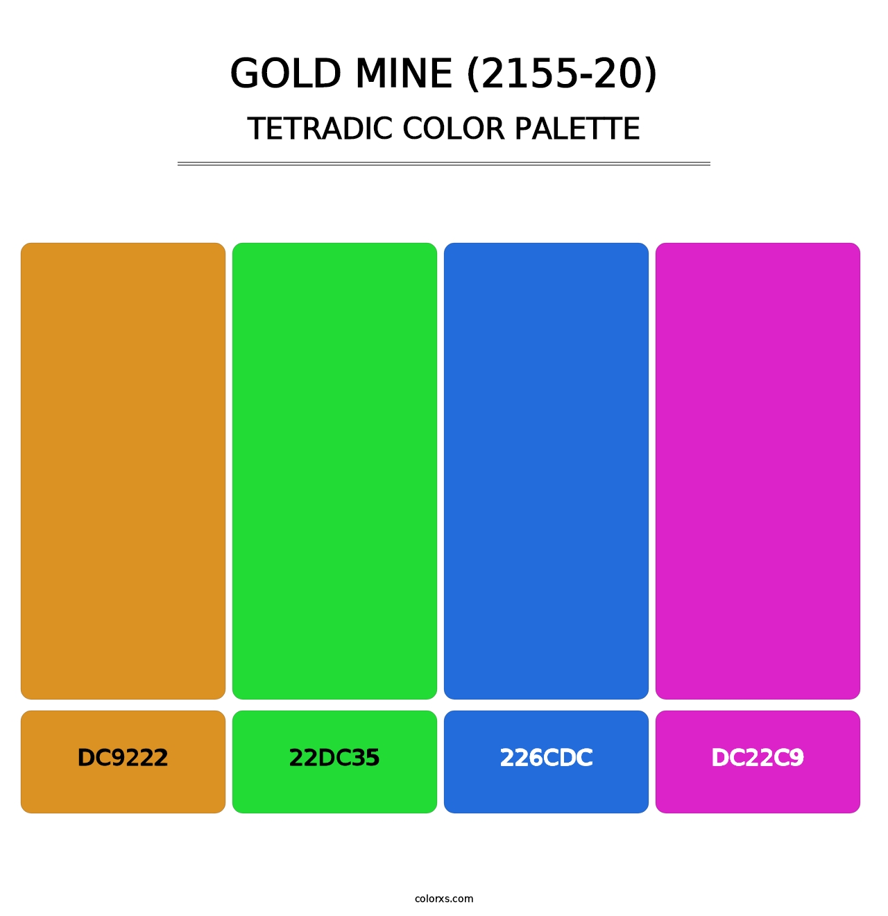Gold Mine (2155-20) - Tetradic Color Palette