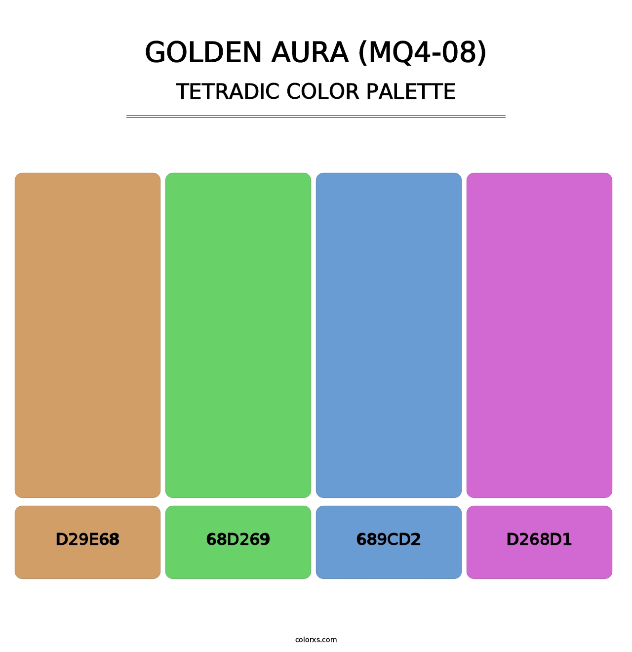 Golden Aura (MQ4-08) - Tetradic Color Palette