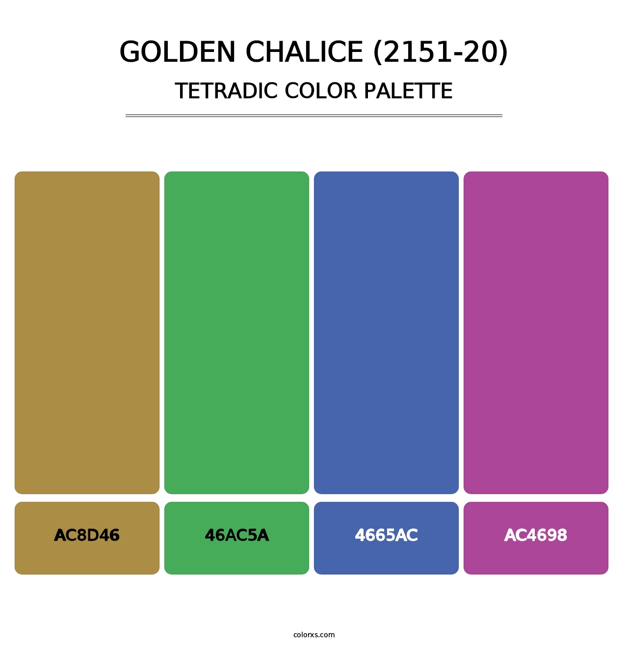 Golden Chalice (2151-20) - Tetradic Color Palette