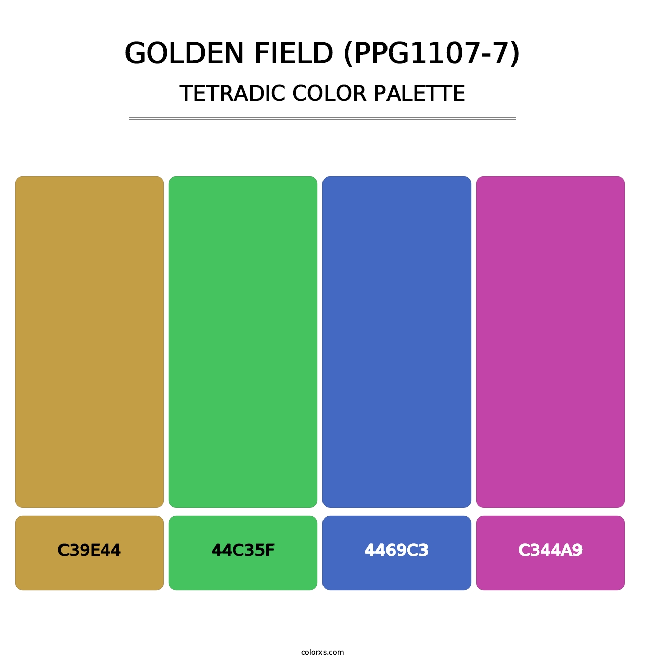 Golden Field (PPG1107-7) - Tetradic Color Palette