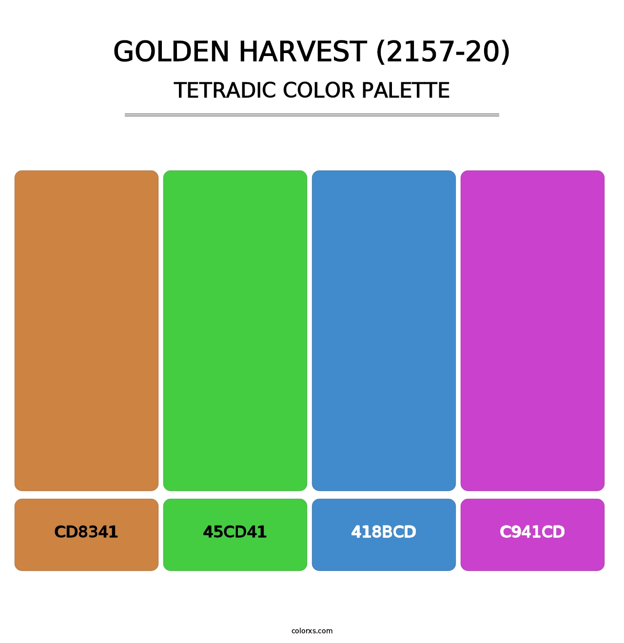 Golden Harvest (2157-20) - Tetradic Color Palette