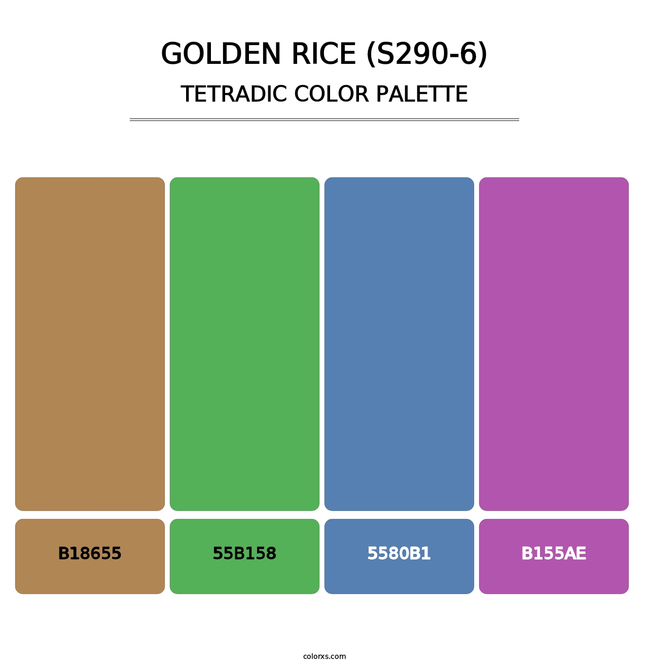 Golden Rice (S290-6) - Tetradic Color Palette