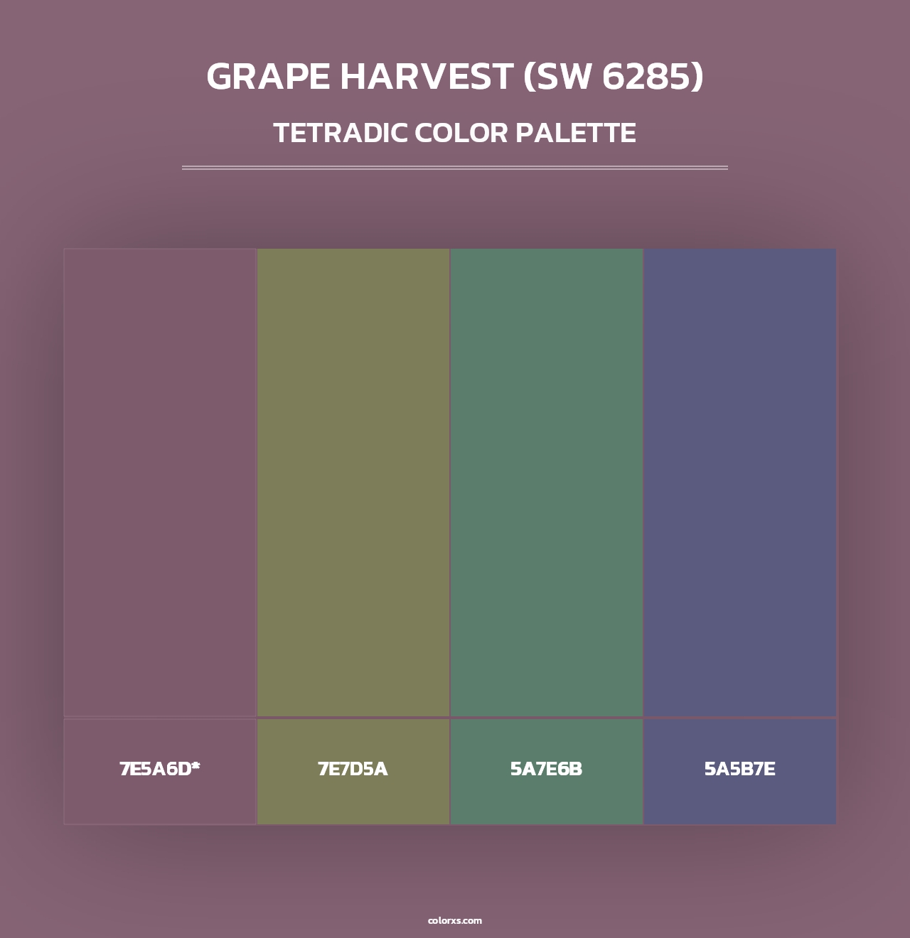 Grape Harvest (SW 6285) - Tetradic Color Palette