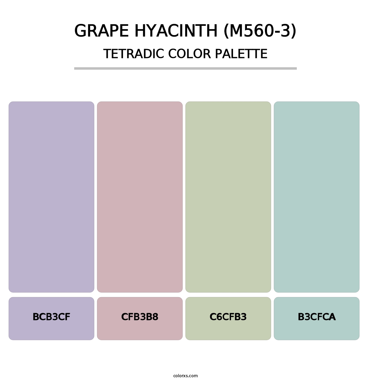 Grape Hyacinth (M560-3) - Tetradic Color Palette