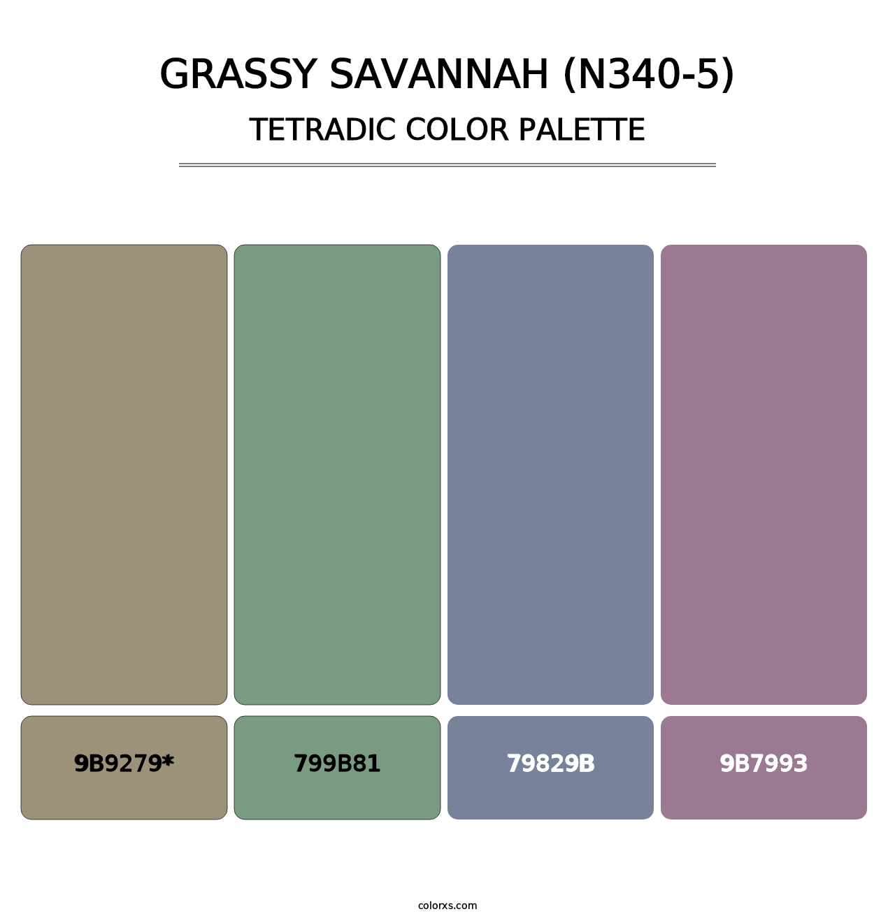 Grassy Savannah (N340-5) - Tetradic Color Palette