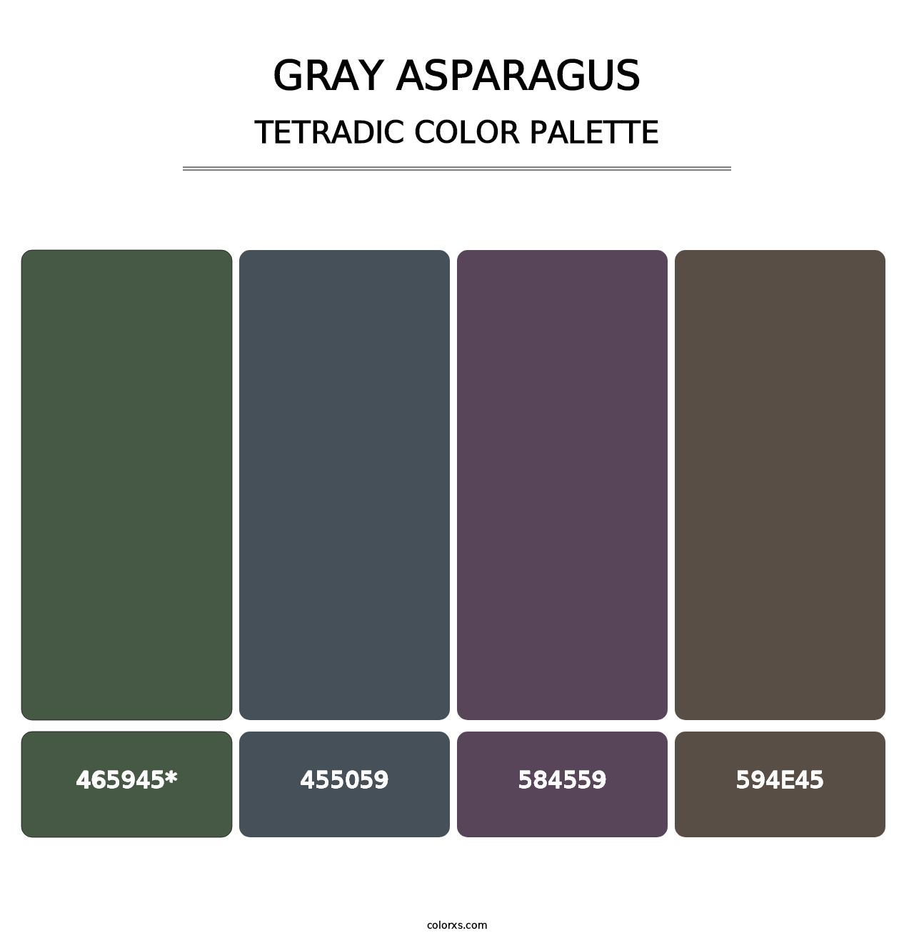 Gray Asparagus - Tetradic Color Palette