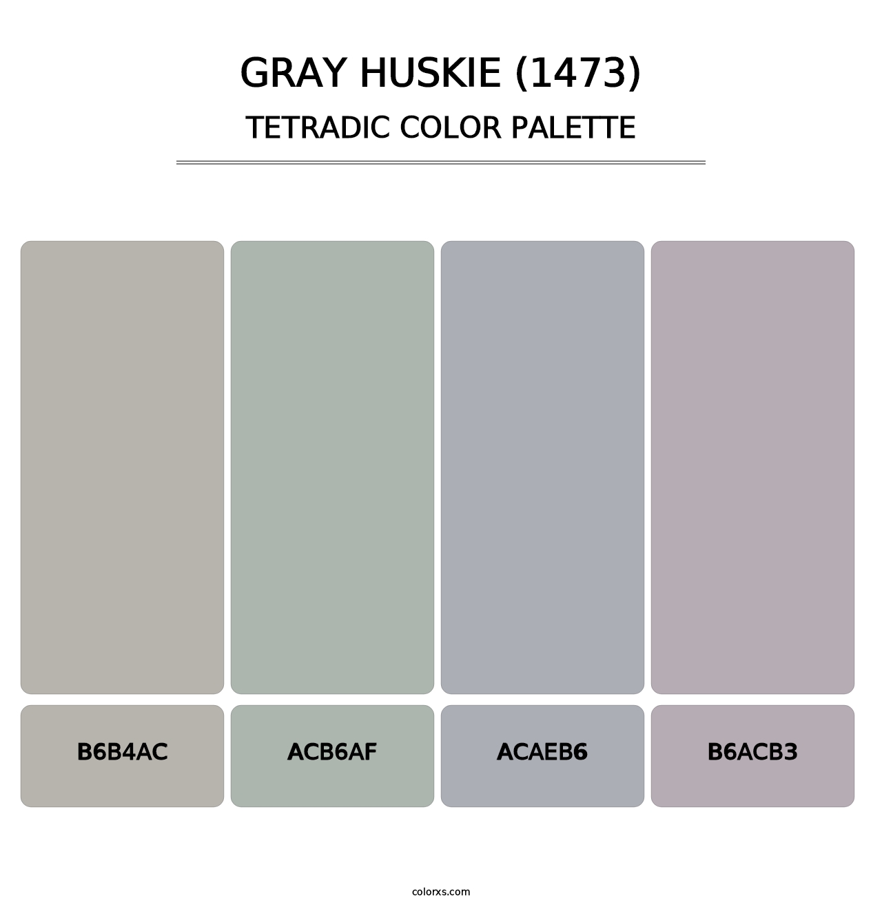 Gray Huskie (1473) - Tetradic Color Palette