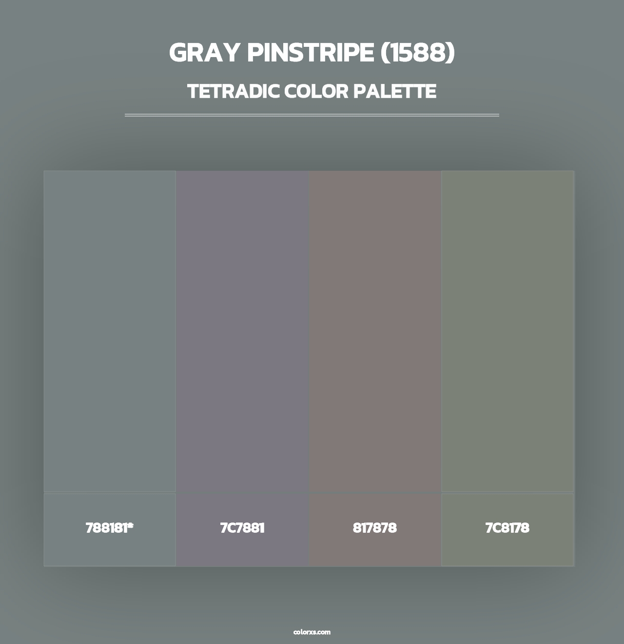 Gray Pinstripe (1588) - Tetradic Color Palette