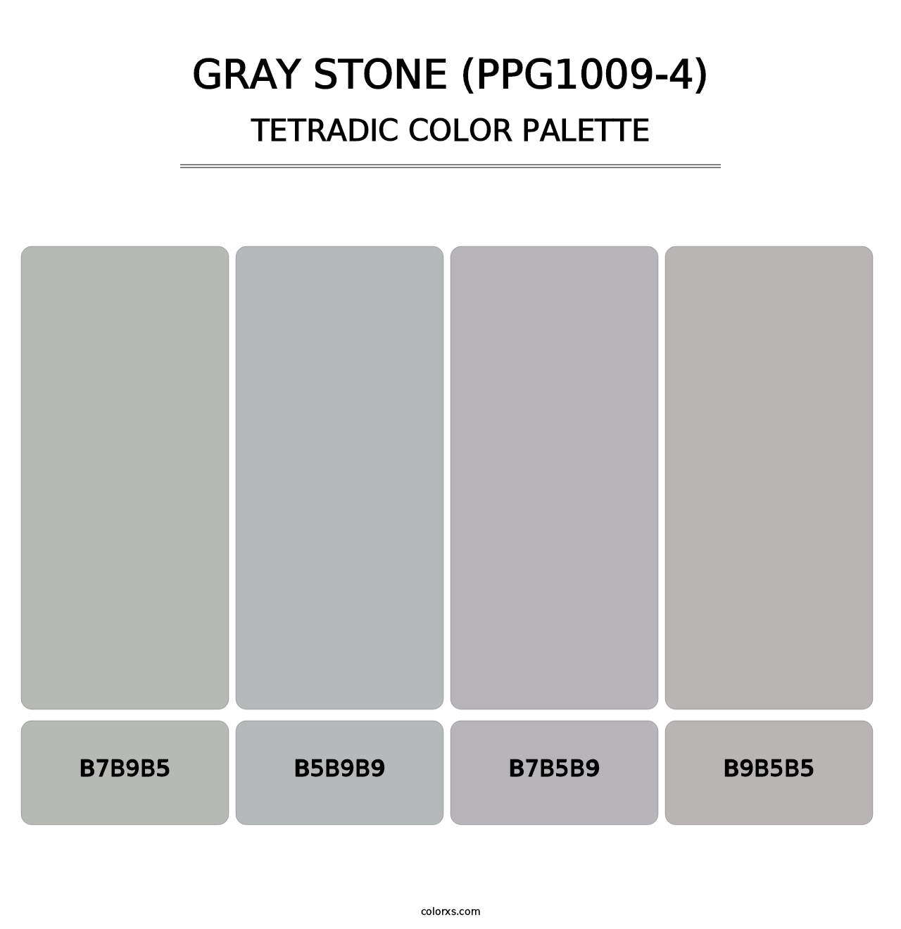 Gray Stone (PPG1009-4) - Tetradic Color Palette