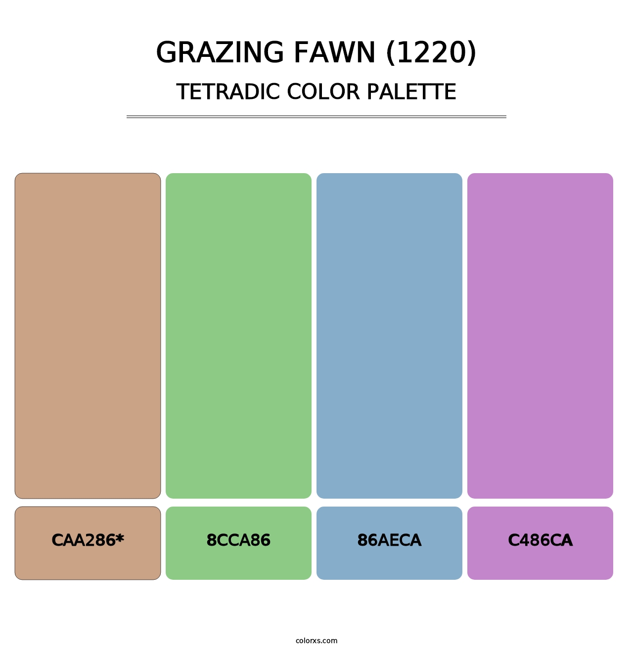 Grazing Fawn (1220) - Tetradic Color Palette