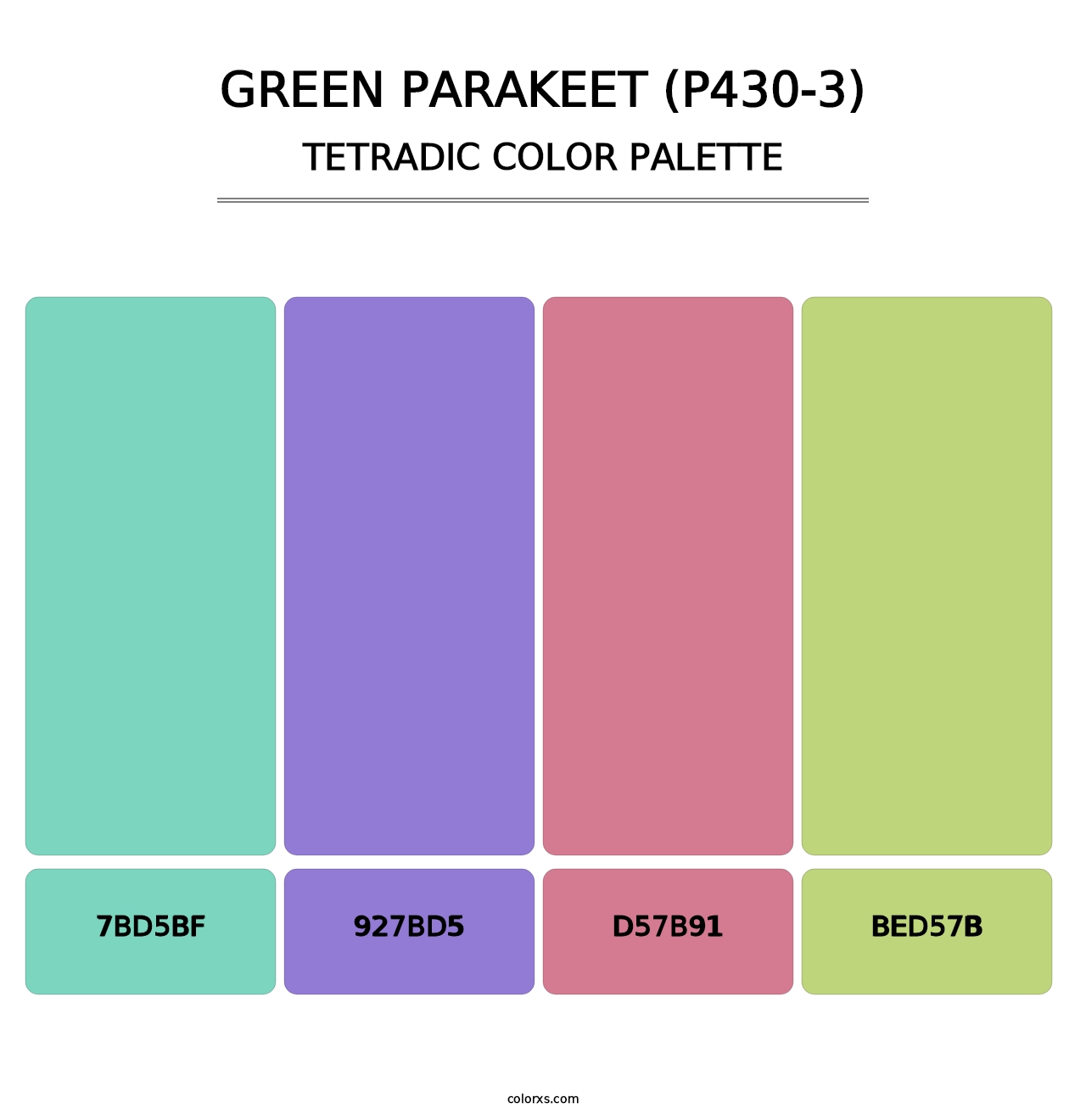 Green Parakeet (P430-3) - Tetradic Color Palette