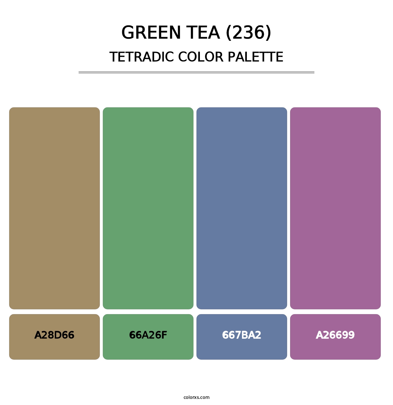 Green Tea (236) - Tetradic Color Palette
