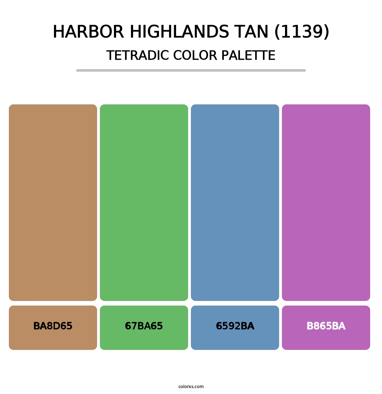 Harbor Highlands Tan (1139) - Tetradic Color Palette