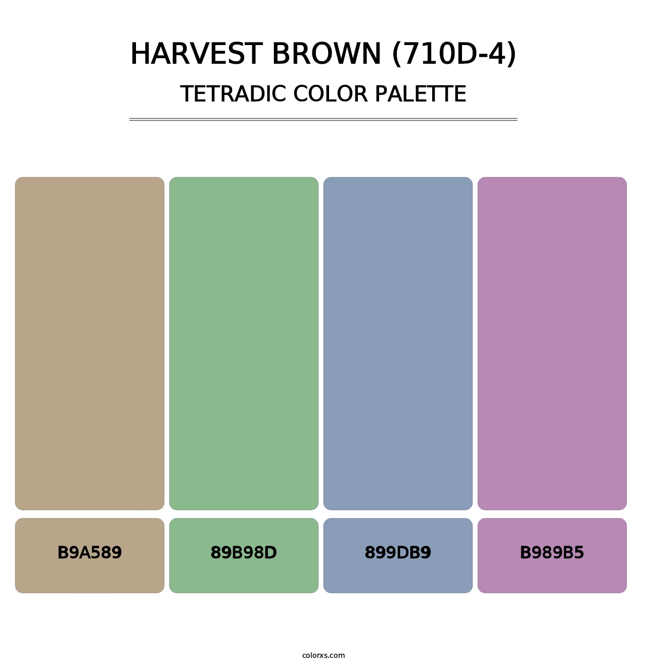 Harvest Brown (710D-4) - Tetradic Color Palette