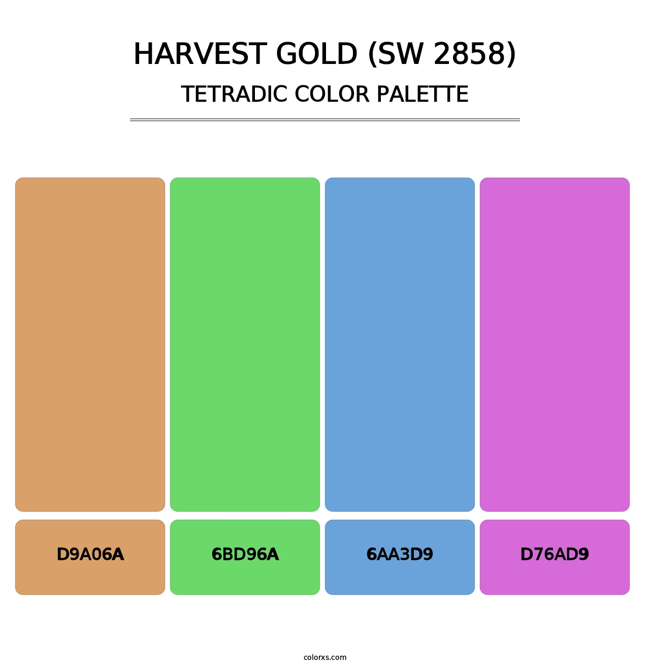 Harvest Gold (SW 2858) - Tetradic Color Palette